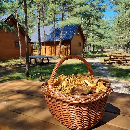 Lesne Abc Nyaraló *