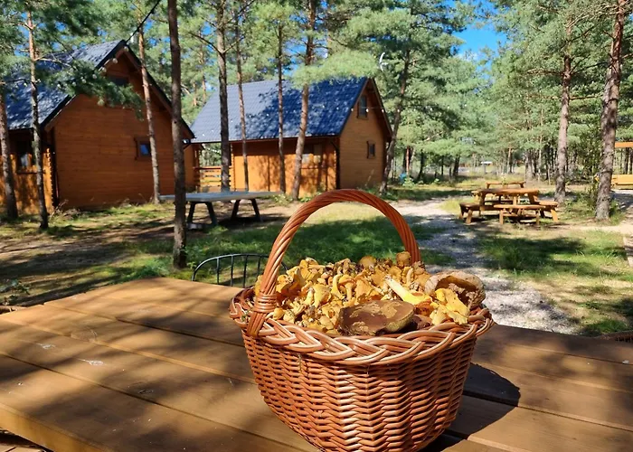 Lesne Abc Feriehus *